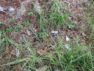 4124 North Fort Christmas Road, Christmas FL 32709