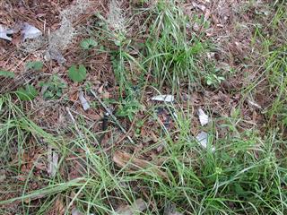 4124 North Fort Christmas Road, Christmas FL 32709