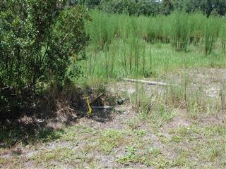 4124 North Fort Christmas Road, Christmas FL 32709