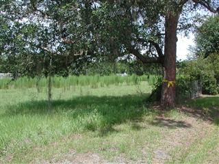 4124 North Fort Christmas Road, Christmas FL 32709