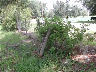 4124 North Fort Christmas Road, Christmas FL 32709