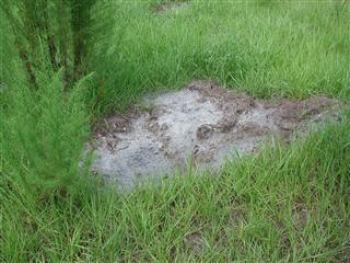 4124 North Fort Christmas Road, Christmas FL 32709