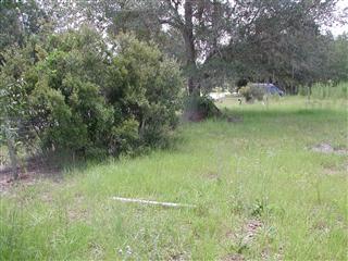 4124 North Fort Christmas Road, Christmas FL 32709