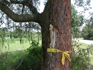 4124 North Fort Christmas Road, Christmas FL 32709