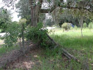 4124 North Fort Christmas Road, Christmas FL 32709