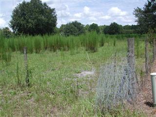 4124 North Fort Christmas Road, Christmas FL 32709